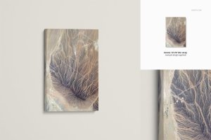 Canvas Print Mockup Set