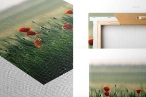 Canvas Print Closeups Mockup Bundle