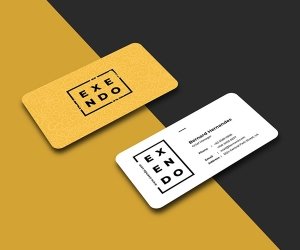 Simple Business Card